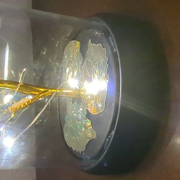 LED Light Up Iridescent Rose Of Love Gold Leaves Glass Dome 7" - Picture 5 of 9